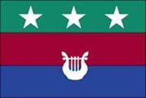 Bandeira Brasão de Belmiro Braga