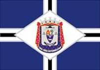 Bandeira Brasão de São João Nepomuceno