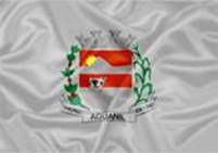 Bandeira Brasão de Aguanil