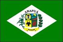 Bandeira Brasão de Arapuá