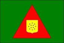 Bandeira Brasão de Bambuí