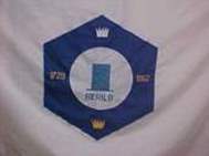 Bandeira Brasão de Berilo