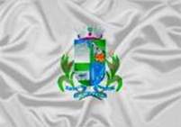 Bandeira Brasão de Cristina