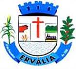 Bandeira Brasão de Ervália