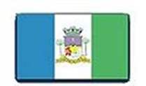 Bandeira Brasão de Gonçalves