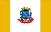 Bandeira Brasão de Guiricema