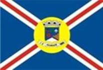 Bandeira Brasão de Igarapé
