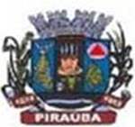 Bandeira Brasão de Piraúba