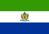 Bandeira Brasão de Rio Novo