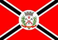 Bandeira Brasão de Salinas