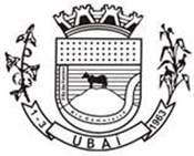 Bandeira Brasão de Ubaí